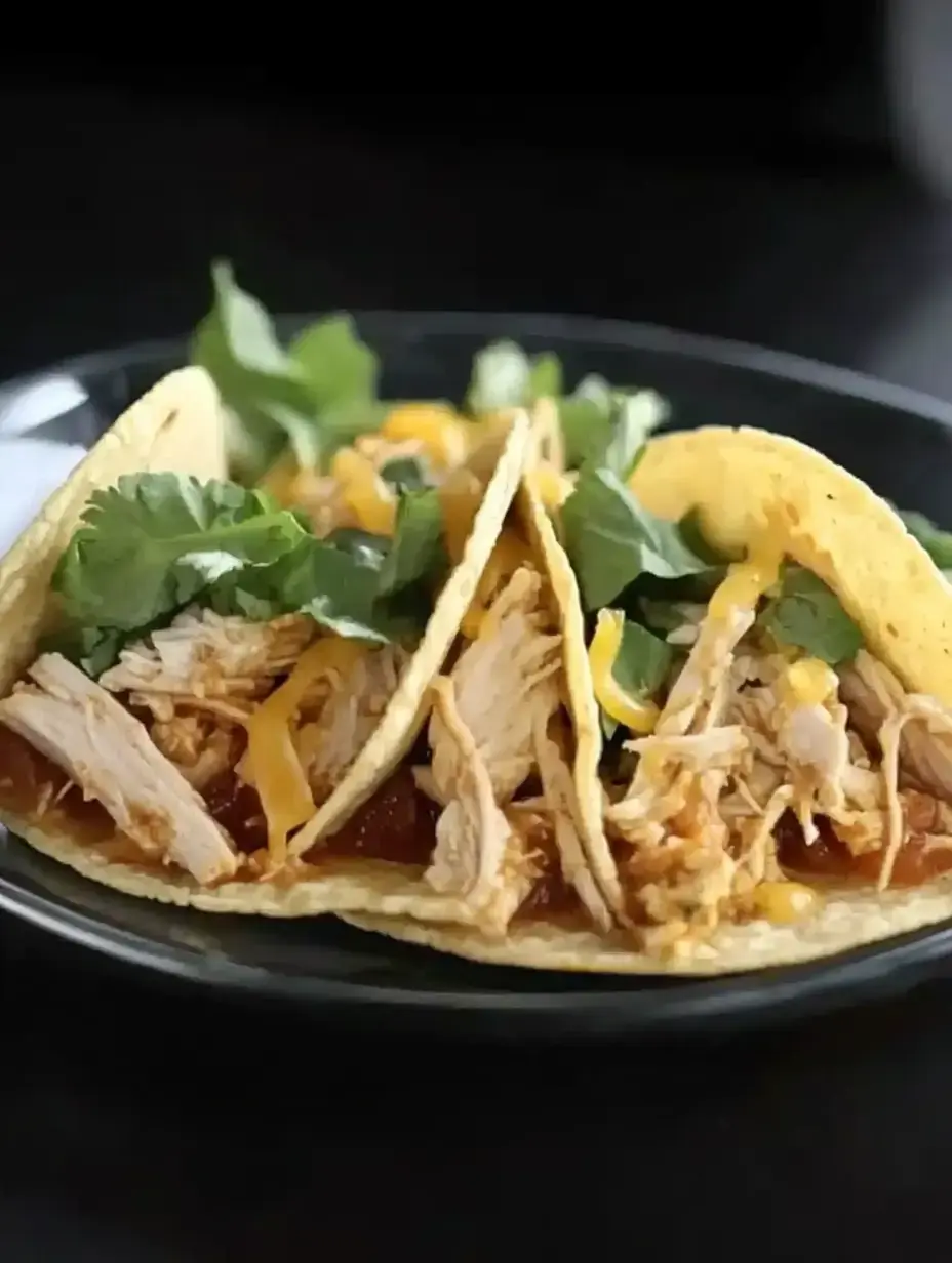 A plate of three soft tacos filled with shredded chicken, cheese, and fresh cilantro.